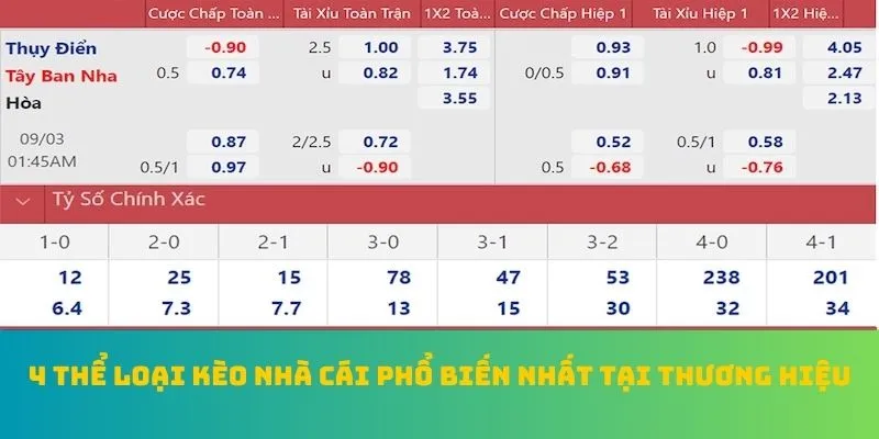 4 thể loại kèo nhà cái phổ biến nhất tại thương hiệu
