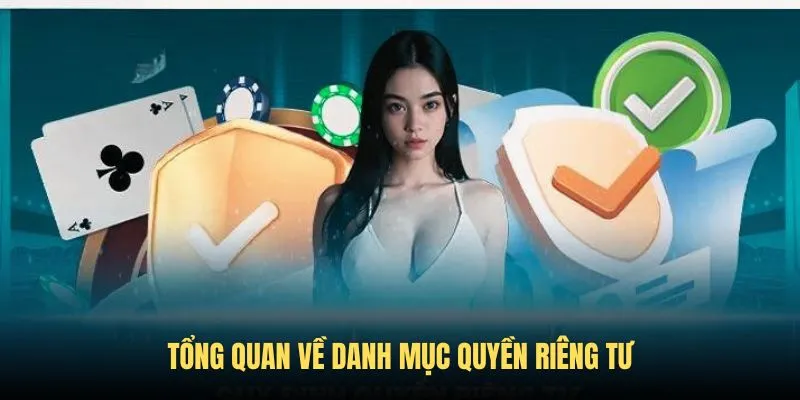 Tổng quan những nét chính về danh mục quyền riêng tư